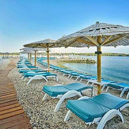 Apartment 4 Palme A